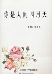 日本电影 海角上的兄妹